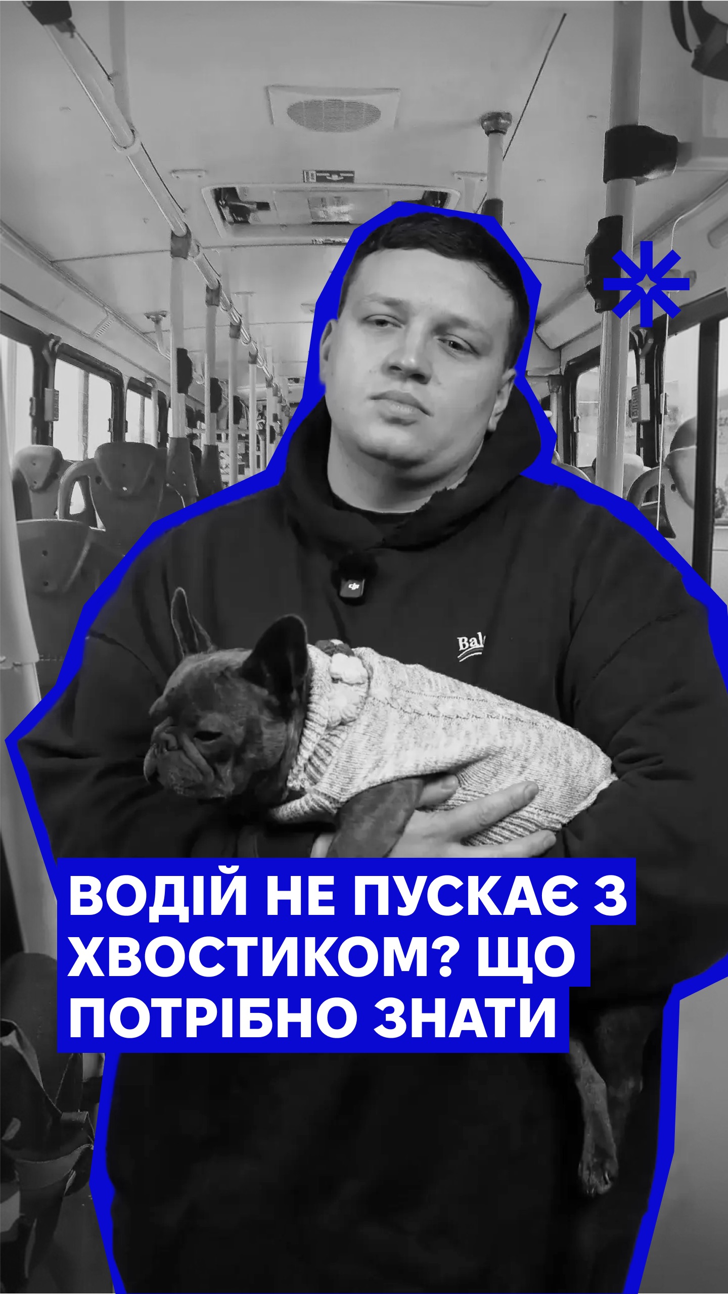 Video · White Law Lab